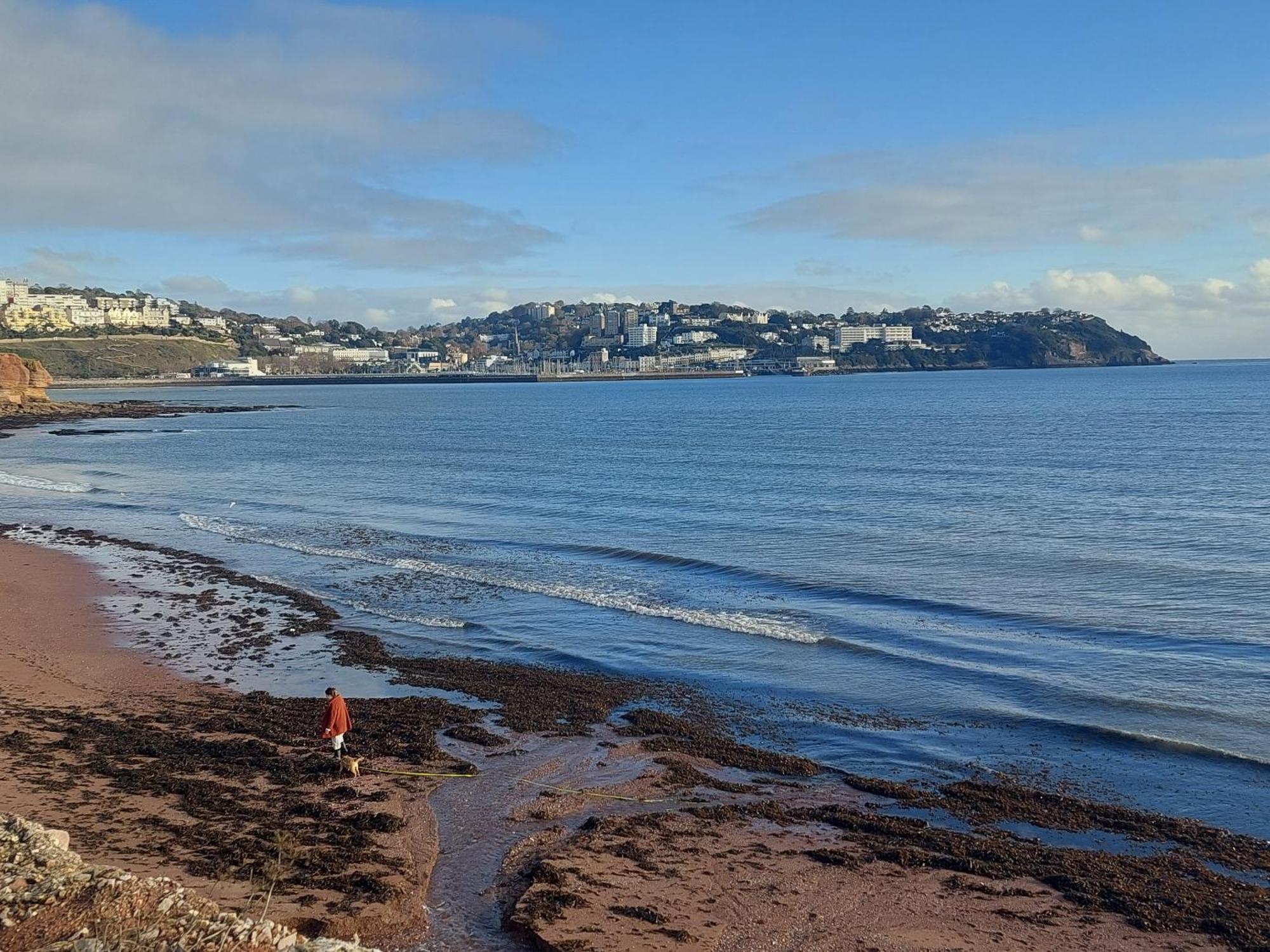 The Seaview Suites At The Corbyn Apartments Torquay Rom bilde